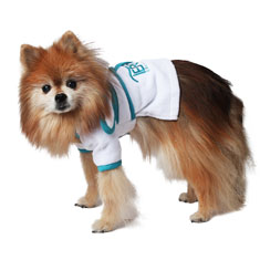 Hooded Pet Robe, White Velour,Velcro Closure at Chest and Tie Belt at Waist